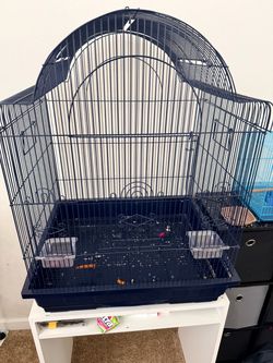 Bird cages look at description