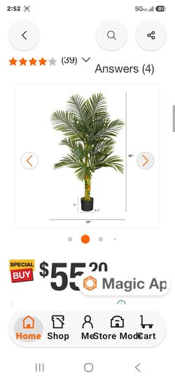 Artificial Cane tree