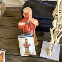 Human, heat, skeleton models