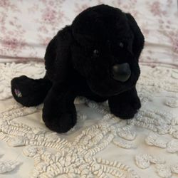 Webkinz Black labrador Plushie