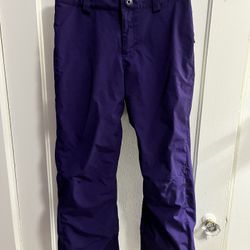 Spyder Thinsulate Ski Pants
