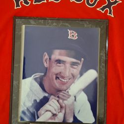 BOSTON RED SOX TED WILLIAMS H O F COLLECTABLE PLAQUE & RED SOX TEE SHIRT ONLY $10 PICKED UP TODAY 