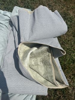 New light Green Rug