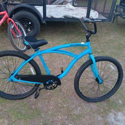 Blue Bicycle Adult 