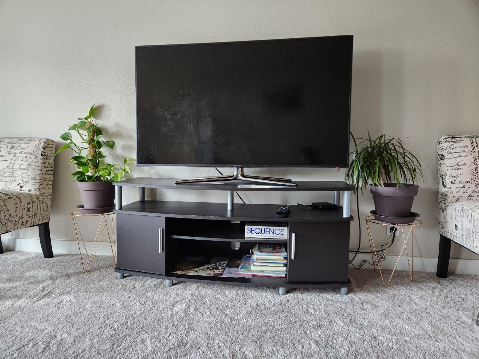 TV Unit Holds Up to 55inch TV