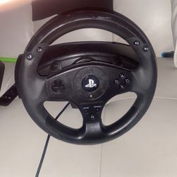 Thrustmaster Steering Wheel