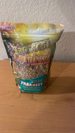 Parakeet food
