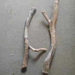 Organic Branches, Logs, Driftwood, Basking Rocks 