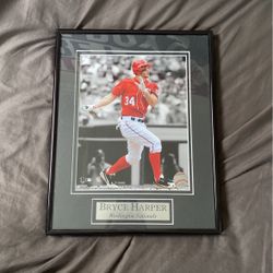 Bryce harper rookie picture 
