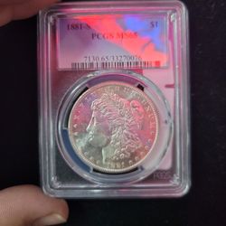 Morgan Silver Dollar Pcgs Ms 65