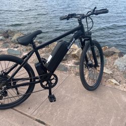 Electric Bike 