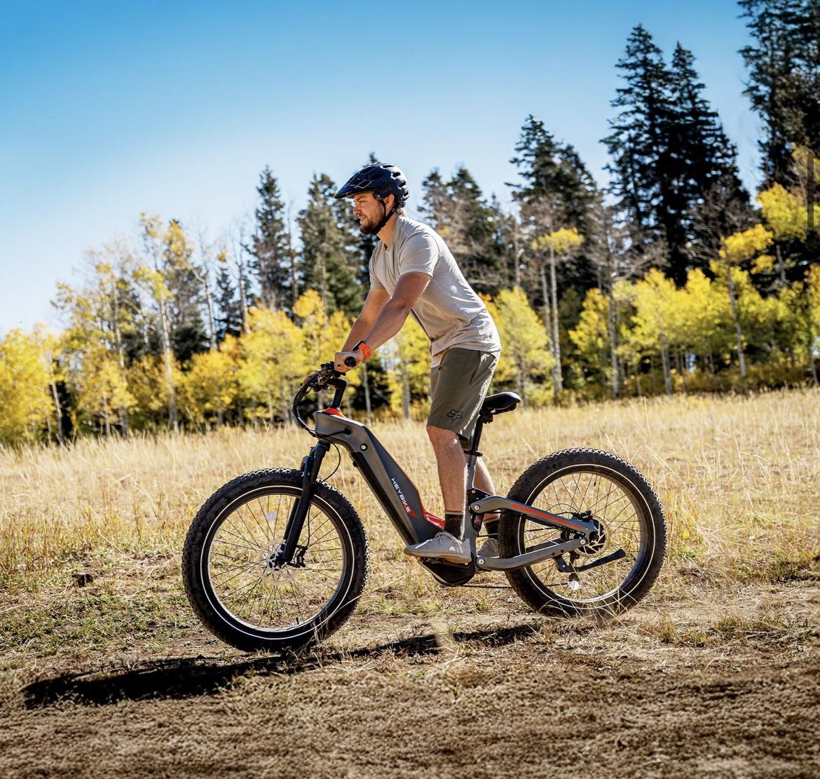 Heybike Hero Electric Bike for Adults,1800W Motor Peak,864Wh