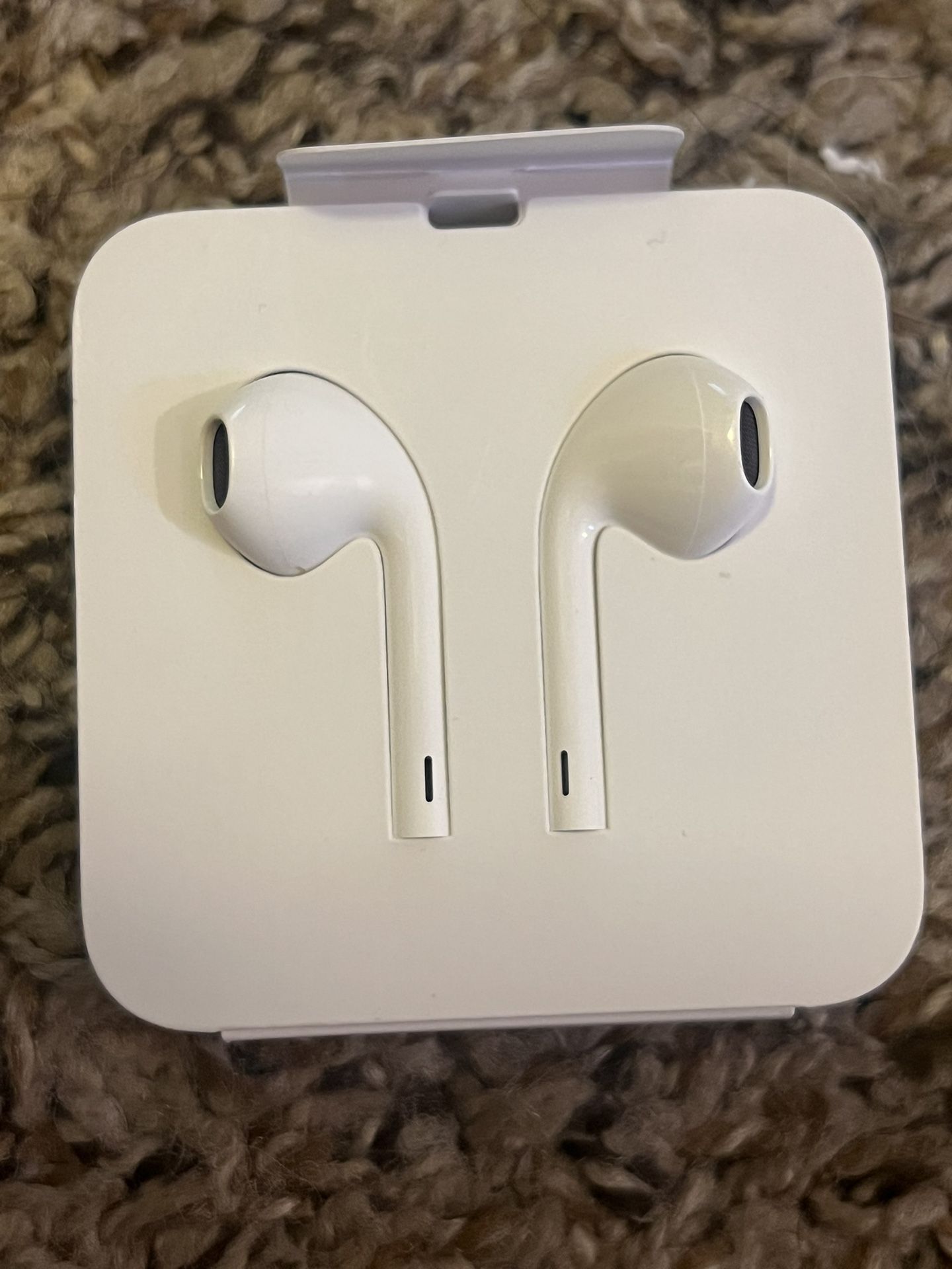 Apple Earphones