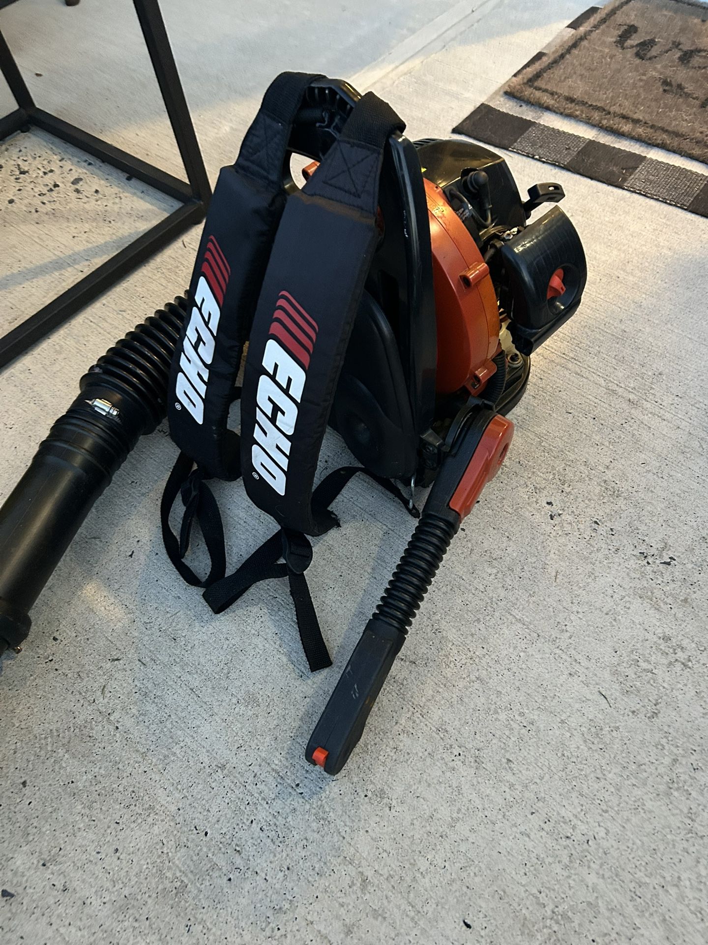 Echo Backpack Blower