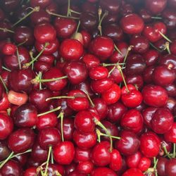 Cherry🍒😋sweet Delicious And Fresh😋😋🍒cherry Dulce Deliciosa Y Fresca😋🍒😋