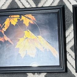 Photo Frame With Fall Leaves Photo Prints