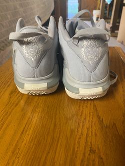 Nike LeBron Basketball Sneakers Gray
