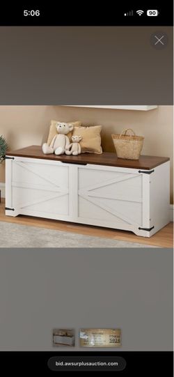 Storage Trunk Organizer