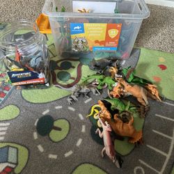 Dinosaur 