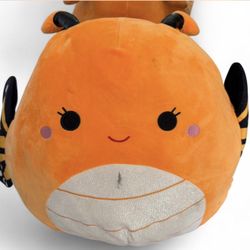 Mony The Monarch Butterfly 