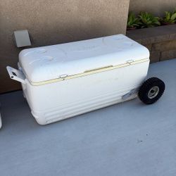 Igloo  Cooler