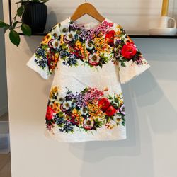 NWT Girls Dress 3- 4 years