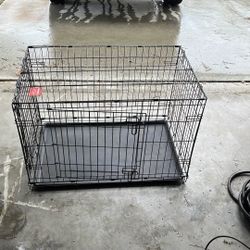 Dog Crate