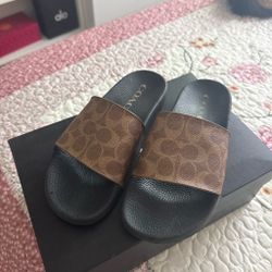 Coach Slides