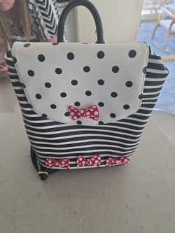Disney parks bag