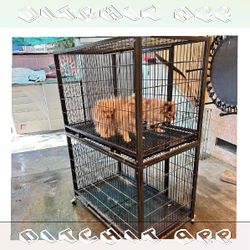 Pet Cages in Various Sizes to Match Every Animal high center