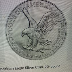 2025 Silver Eagle Coin .999 Silver Below Melt