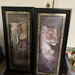 Cheetah Print Picture Frames 