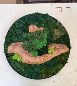 Cedar Wood And Preserved Moss Wall Decor 16x16