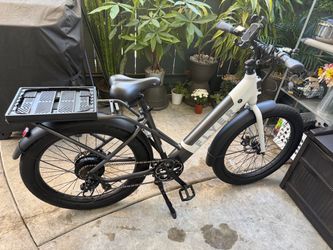 FLYER ebike step thru