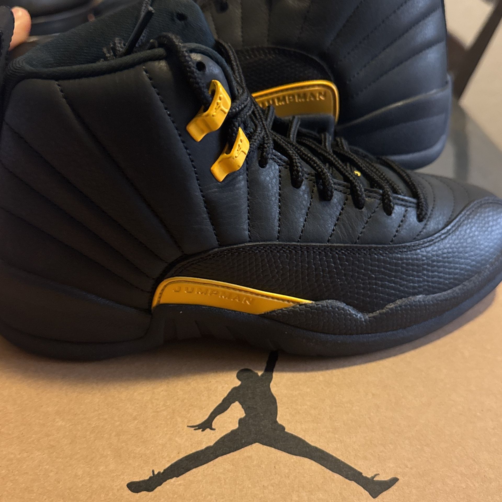 Air Jordan 12 Retro 