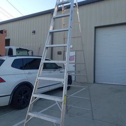 10 Ft Ladder 