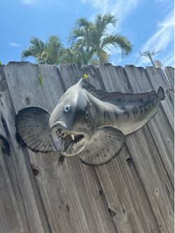 Wolf Fish Wall Mount 3ft length