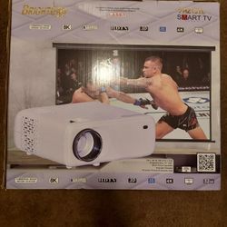 Brightera Vpl Fhz 131l


