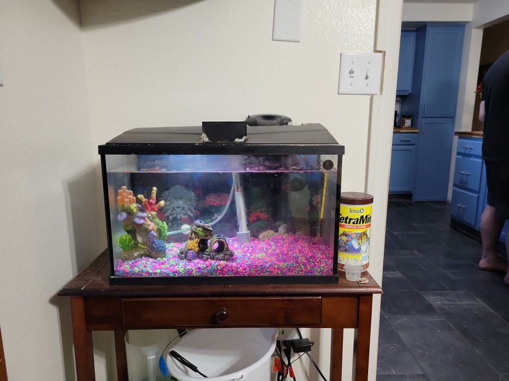10 Gallon Fish Tank 
