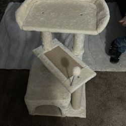 Cat Play House