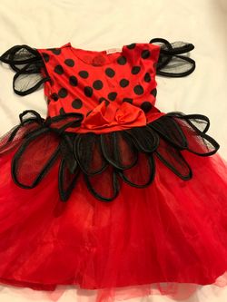 Lady bug costume for your baby Sz 12m-18m