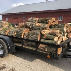 Firewood 