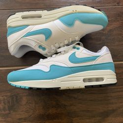 Nike Air Max 1 