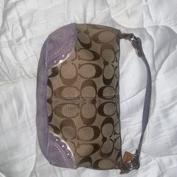 Vintage Coach Bag