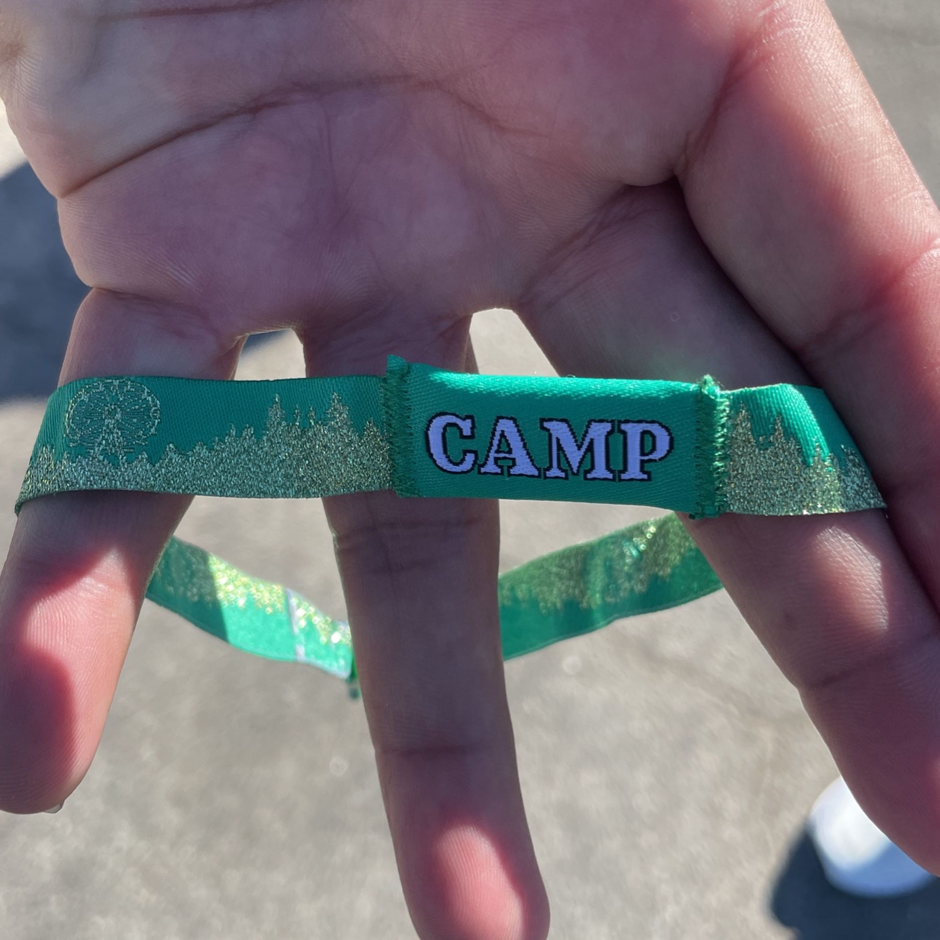 Camp Flog Gnaw