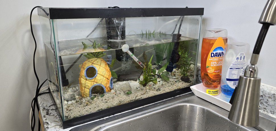 🐠 🐟 10 Gallon Fish Tank Aquarium and Many Accessories