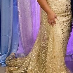 Gold Dress/Vestido Oro 