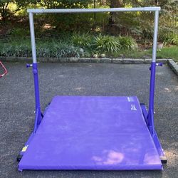 Z Athletic Adjustable Gymnastics Bar