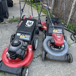Grass Cutting 