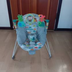 Baby Bouncer